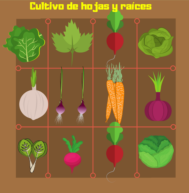 huerto-en-huacales
