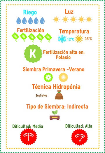 venta semilla chile jalapeño df 