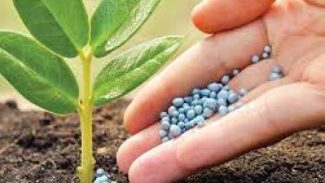Nutricion vegetal