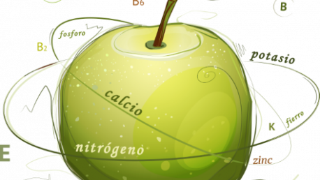 nutricion vegetal 